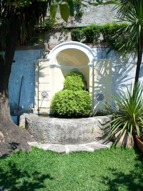 Il Nido Del Gabbiano